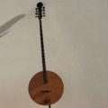 Gitar mı, Bağlama mı? Telli Çalgılar Arasında Seçim Rehberi